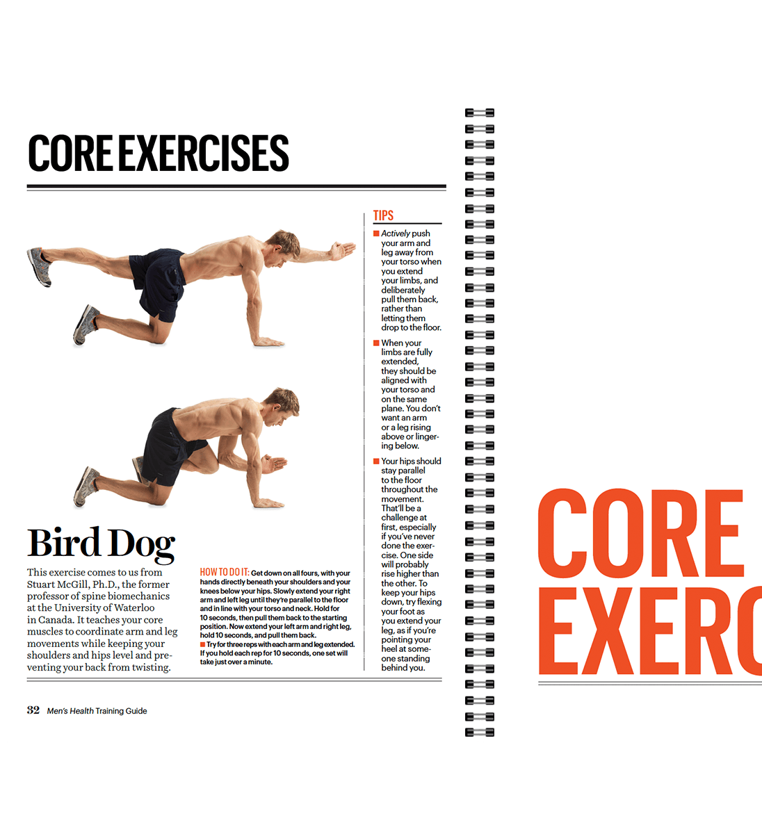 FIVE BASIC EXERCISES Essential to Building Core Strength – TotoFit