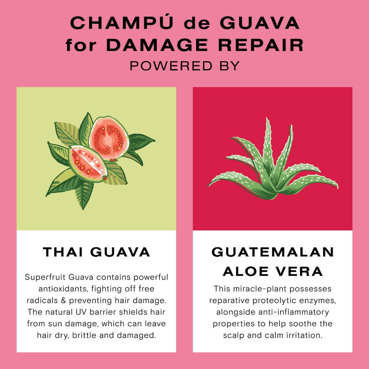 Guava Shampoo For Damaged And Color Treated Hair