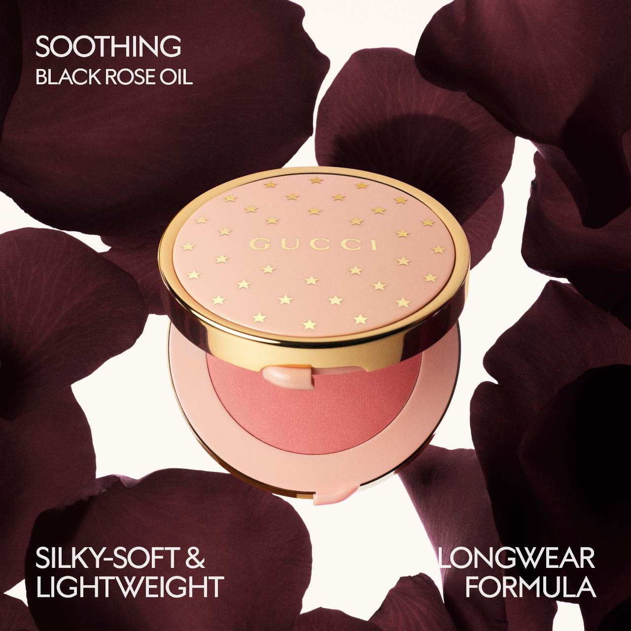 Glow Powder Blush 5.5g main image 1